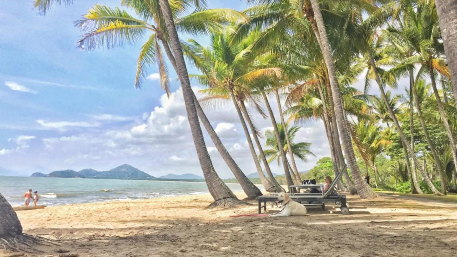 Canopy House - Palm Cove